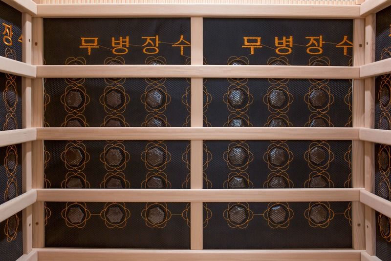 Pannello di controllo del computer disintossicazione e deumidificazione casa sauna camera bellezza infrarossi di alta qualità e bellezza